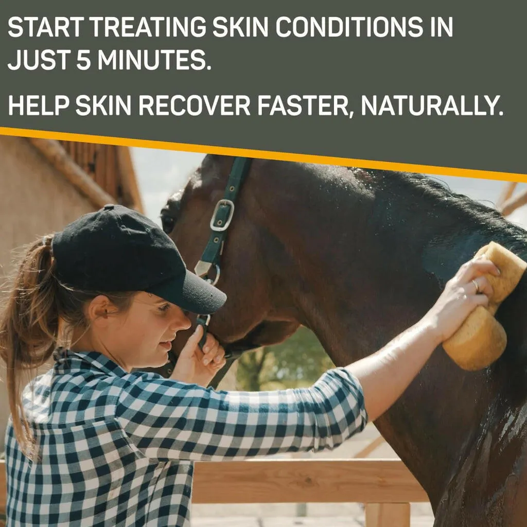 Absorbine Silver Honey Rapid Skin Relief Medicated Shampoo 16 oz
