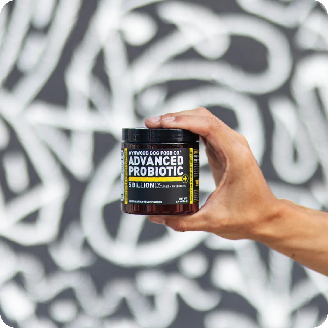 ADVANCED PROBIOTIC