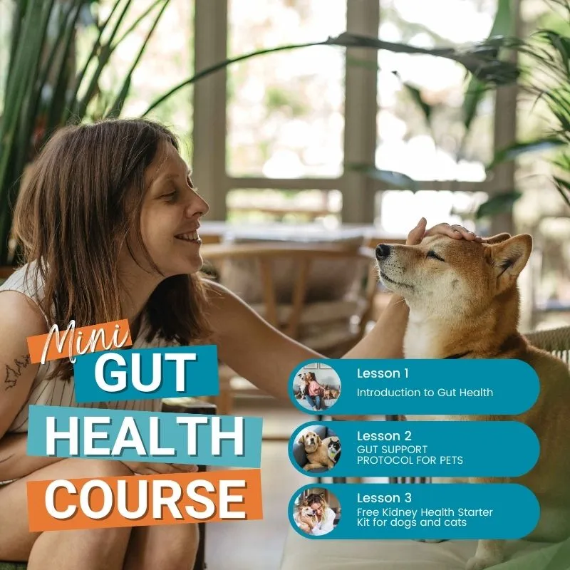 Gut Health Starter Kit For Dogs and Cats