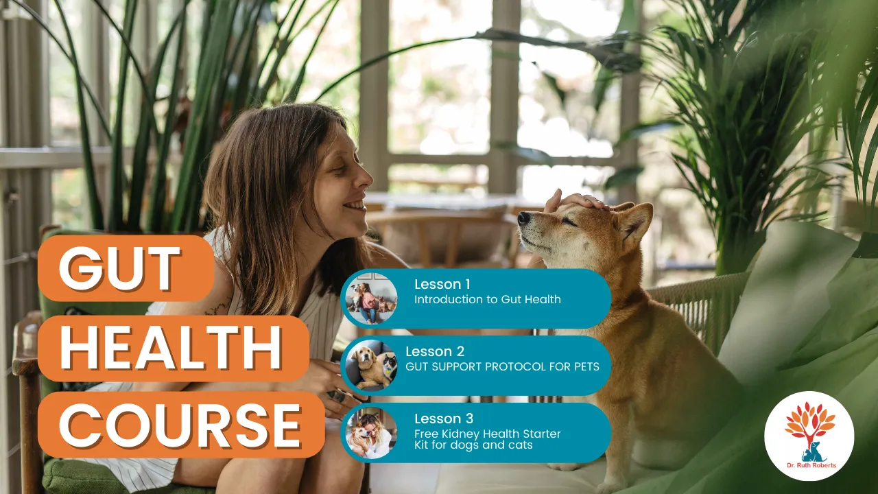 Gut Health Starter Kit For Dogs and Cats
