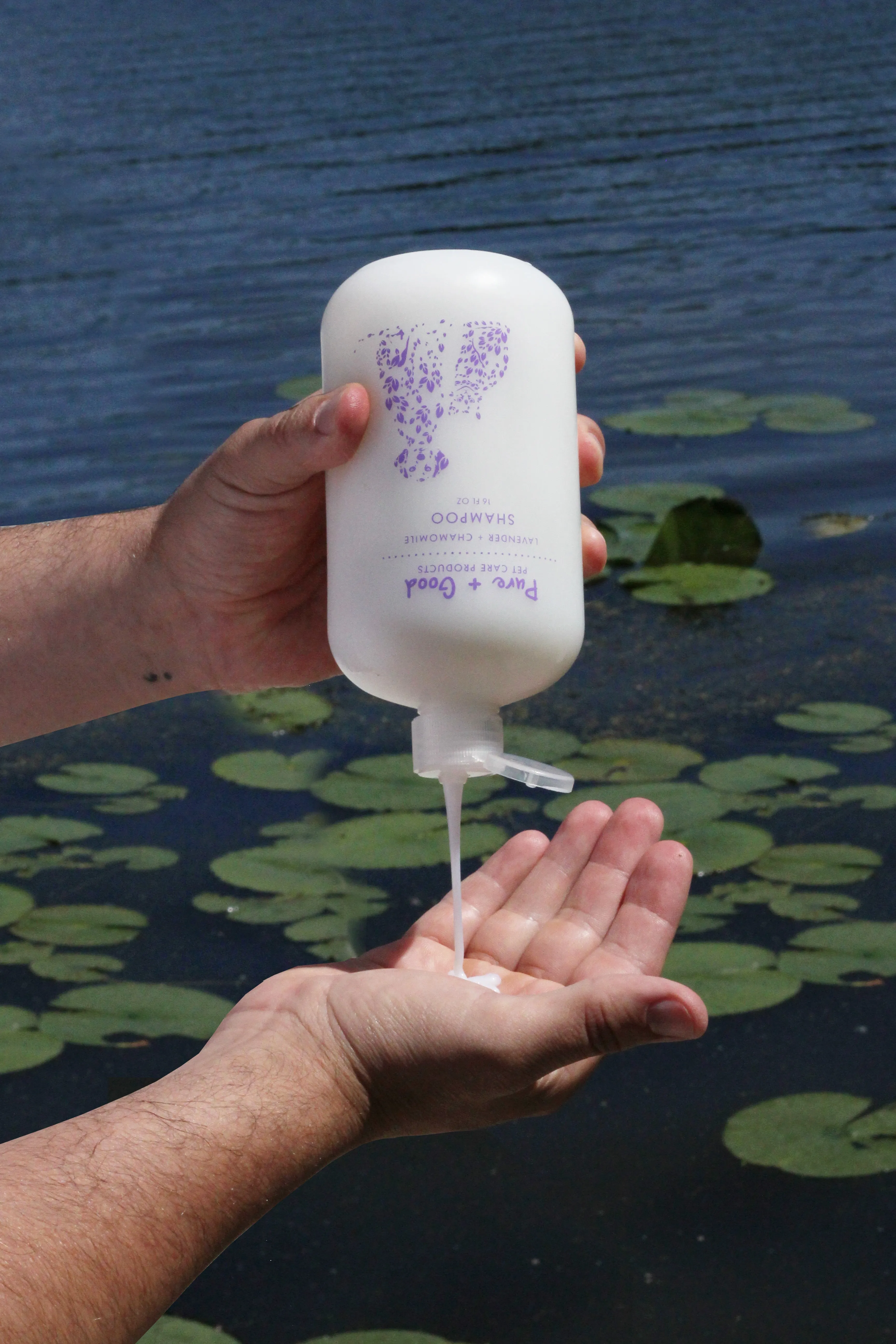 Lavender   Chamomile Shampoo