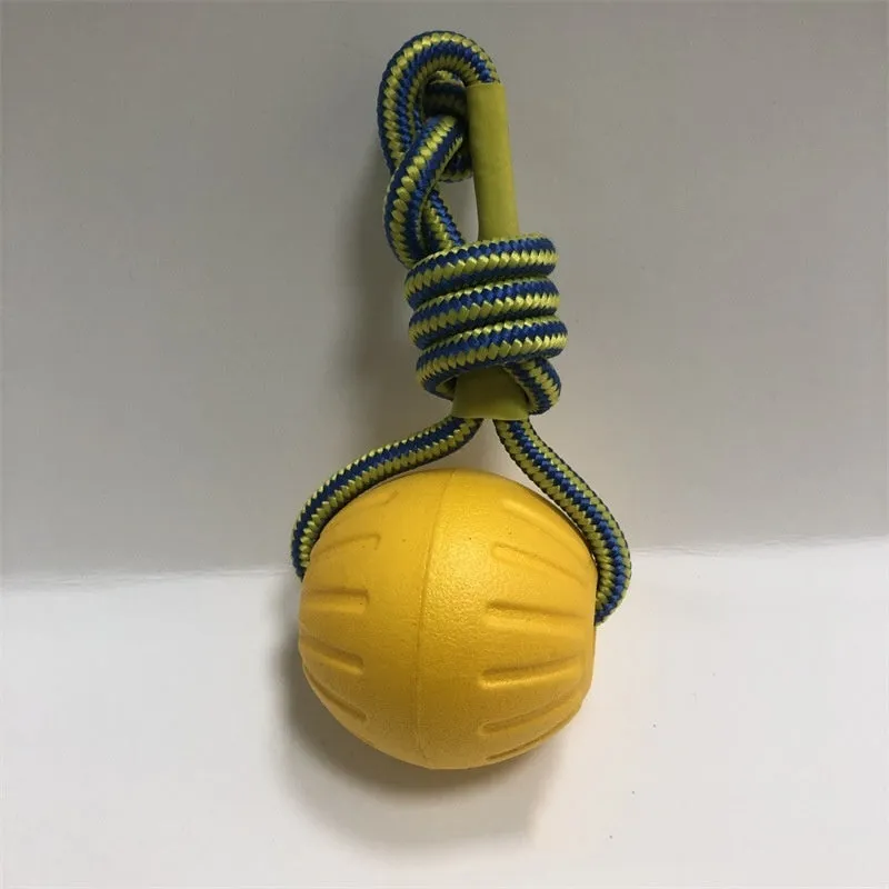 Puppy Training Ball